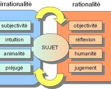 « Effet Feeling » & « Effet d’assurance »