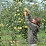 Jobs d’été : c’est le moment de postuler