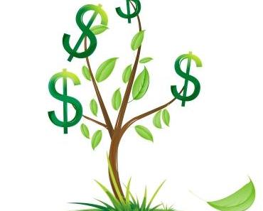 Concours Graines de Boss