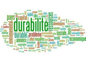 RH & RSE : Une question d’équilibre