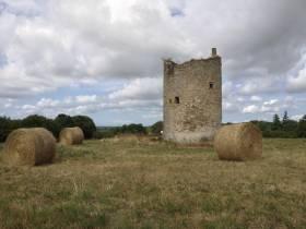 Collecte rénovation d'un Moulin à vent