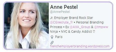 Anne Pestel Twitter 2014