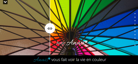 CV original du mois : la Com by Anaïs, Web Designer