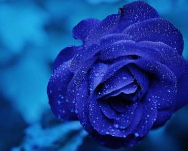 wallpaper-1689754